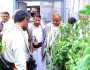 وزير الزراعة ومحافظ ذمار يطلعان على أنشطة الزراعة المائية وإنتاج الأسمدة العضوية في ذمار