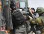 العدو الإسرائيلي اعتقل 488 فلسطينياً في مايو الماضي