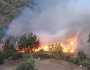 إخلاء عدد من القرى إثر حرائق الغابات في اليونان