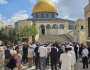 4100 مستوطن اقتحموا المسجد الأقصى خلال شهر نوفمبر