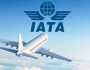 “إياتا”: 37 مليون رحلة جوية في 2023 بنمو 17%
