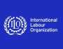 منظمة العمل الدولية :الأجور العالمية تنمو بشكل أسرع من التضخم في الآونة الأخيرة