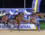 “دبي لسباق الخيل” يتلقى 300 طلب للمشاركة في سباقاته