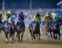 105 خيول تشارك غداً في الأمسية الثالثة لـ”كرنفال سباقات دبي”