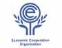 منظمة التعاون الاقتصادي تناقش الدبلوماسية الاقتصادية والتعاون السياحي