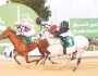 “العين للفروسية” يستضيف “السباق الختامي” للخيول العربية اليوم