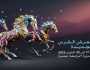 معرض “الفرس للجديدة” ينطلق في أكتوبر المقبل بشعار “الفروسية والتنمية المستدامة”