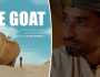 مصر.. فيلم The Goat يشارك في أكبر مهرجانات إيطاليا
