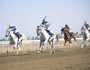 تنافس مثير في سباق الخيل الرابع بمضمار الرحبة
