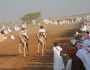 200 ناقة تفتتح موسم ركض عرضة الهجن ببدية