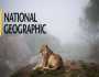تردد قناة ناشيونال جيوغرافيك 2025.. خطوات ضبطها بأعلى جودة HD