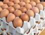 سعر كرتونة البيض اليوم الاثنين 24-2-2025 في الأسواق لمختلف الأصناف