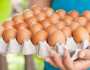 سعر كرتونة البيض اليوم الأربعاء 4-12-2024 في الأسواق