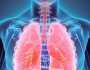 5 طرق طبيعية لتطهير رئتيك.. «هتتنفس من غير تعب»
