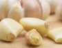 تناول الثوم يوميا يساعد في الوقاية من أصعب الأمراض.. أقوى مضاد حيوي