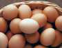 سعر كرتونة البيض اليوم الثلاثاء 10-12-2024 في السوق المحلية