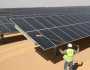 نقلة في إنتاج الطاقة.. افتتاح محطة أبيدوس الشمسية بقدرة 560 ميجاوات في أسوان
