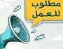 فرص عمل جديدة في الدعاية والإعلان برعاية وزارة التضامن.. رواتب مجزية