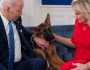 طرد كلب بايدن من البيت الأبيض