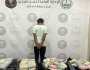 ضبط مخالف لمحاولته تهريب 100 كيلوجرام من القات المخدر في جازان