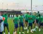 الإصابات تضرب منتخب نيجيريا قبل كأس إفريقيا