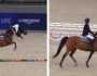 لحظة سقوط نجل أمير قطر من على ظهر الجواد في بطولة عالمية .. فيديو