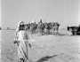 قافلة من الجمال بالقرب من بادية بقيق عام 1947م
