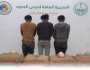 ضبط 3 مخالفين لتهريبهم 80 كيلوجرامًا من نبات القات المخدر بجازان