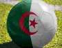 وفاة لاعب جزائري بسكته قلبية في الملعب