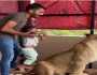 لحظة خطيرة: أب يجبر ابنه على التصوير مع الأسد.. فيديو