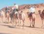 رحّالة بريطانيون يقطعون 500 كم داخل محمية الملك سلمان الملكية على ظهور الإبل.. صور