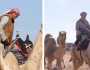 رحالة بريطانيون يقطعون 400 كم على ظهور الإبل في محمية الملك سلمان .. فيديو.