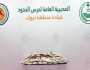 إحباط تهريب 94,306 أقراص من الإمفيتامين بتبوك