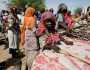 تقرير للأمم المتحدة: 20 مليون شخص في السودان يعانون من انعدام الأمن الغذائي