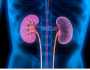 استشاري: 5 حالات مرضية يجب فيها فحص وظائف الكليتين