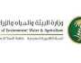 «البيئة»: إعلان الأمم المتحدة استضافة المملكة لفعاليات اليوم العالمي يؤكد دورها محلياً ودولياً
