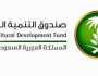 صندوق التنمية الزراعية يعتمد قروضاً بقيمة 748 مليون ريال لضمان استقرار سلاسل الإمداد الغذائية