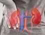 استشاري: 9 نصائح للحفاظ على صحة الكليتين