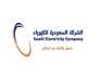 «السعودية للكهرباء»: نستهدف الوصول إلى الحياد الصفري المناخي عام 2050
