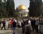 أكثر من ألف مستوطن يقتحمون الأقصى لإحياء عيد العُرش اليهودي (شاهد)