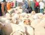 إعادة فتح أسواق الماشية في ولاية الوادي بعد فترة من الغلق الاحترازي 