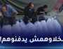 مشاهد قاسية.. كلاب ضالة تنهش جثث الشهداء بساحة الشفاء