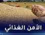 وزير الفلاحة: رفع الإحتياطي الإستراتيجي من الحبوب إلى 9 مليون طن