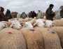 إنتشار الحمى القلاعية .. الحكومة تتخذ إجراءات هامة 