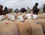رسميا…إغلاق أسواق الماشية عبر 21 ولاية وقرابة 100 ألف رأس بقر تم تلقيحها