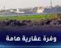 ركاش: 600 عقار قابل للإستثمار.. 3700 هكتار محل تحري لاستغلالها
