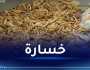 وزير التجارة: تبذير 100 مليون خبزة في شهر رمضان