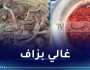 يصل إلى 250 مليون سنتيم.. هذه أسعار الزعفران في الجزائر