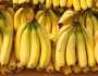 الدولة تتدخل.. وتستورد 10 آلاف طن من الموز لخفض الأسعار