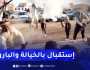 بسكرة: الخيالة والبارود في استقبال الأمين العام للتجمع الوطني الديمقراطي مصطفى ياحي